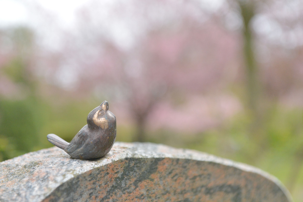 Erdbestattung in Burscheid