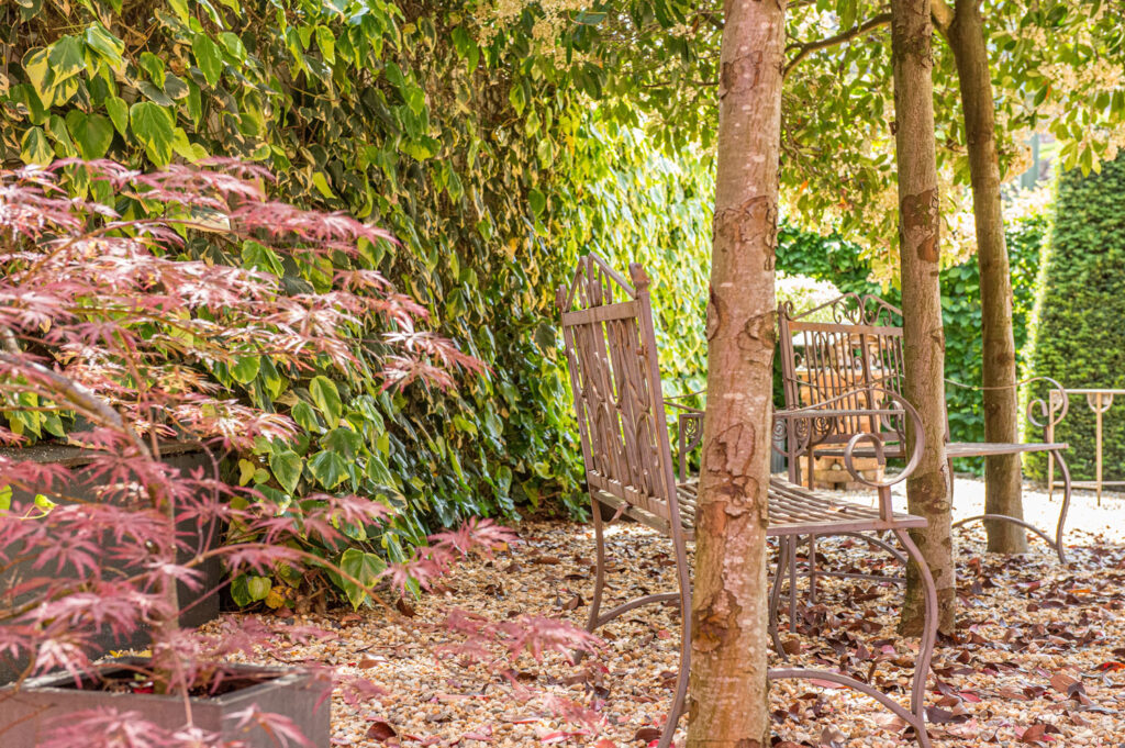 Garten von Kuhler & Kaufmann Bestattungen bietet Raum für den Abschied mit Gartenbänken, Zierbäumen und einer grünen Wand aus Efeu